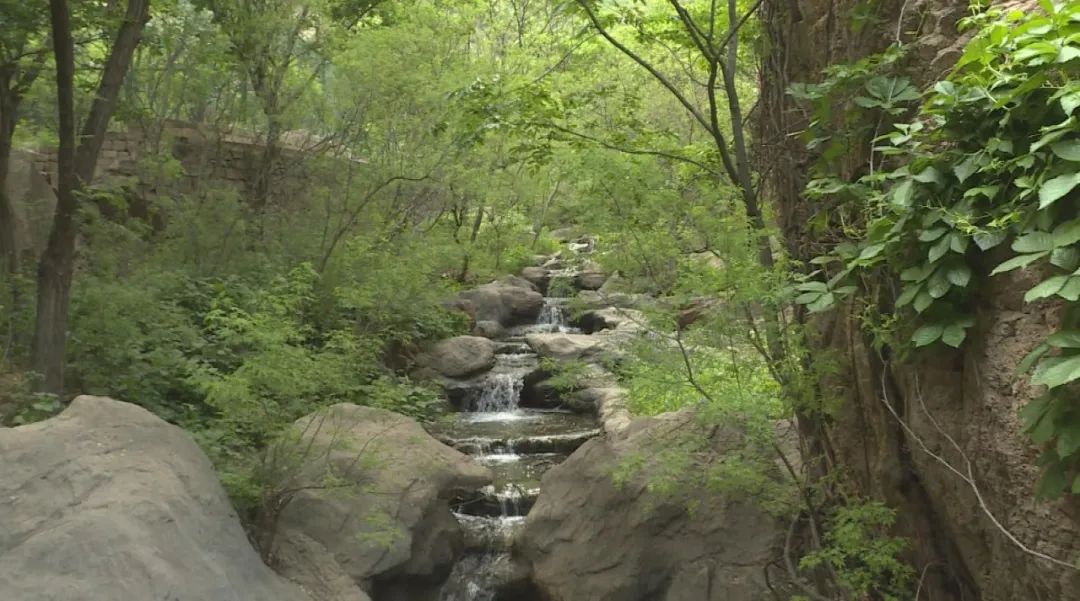 微信图片_20230317110343